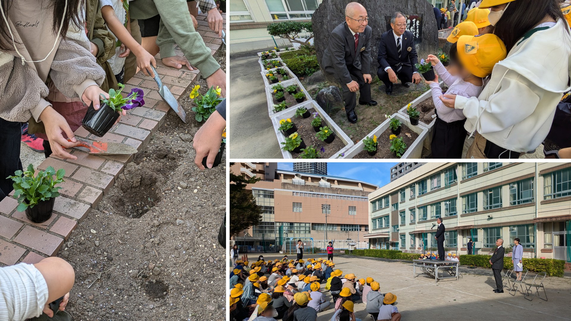 栄小学校への花の苗贈呈